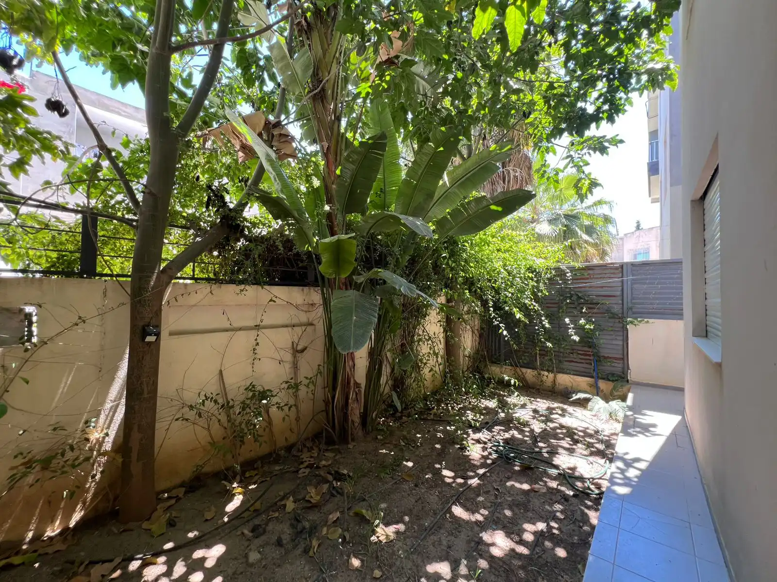 jardin-2