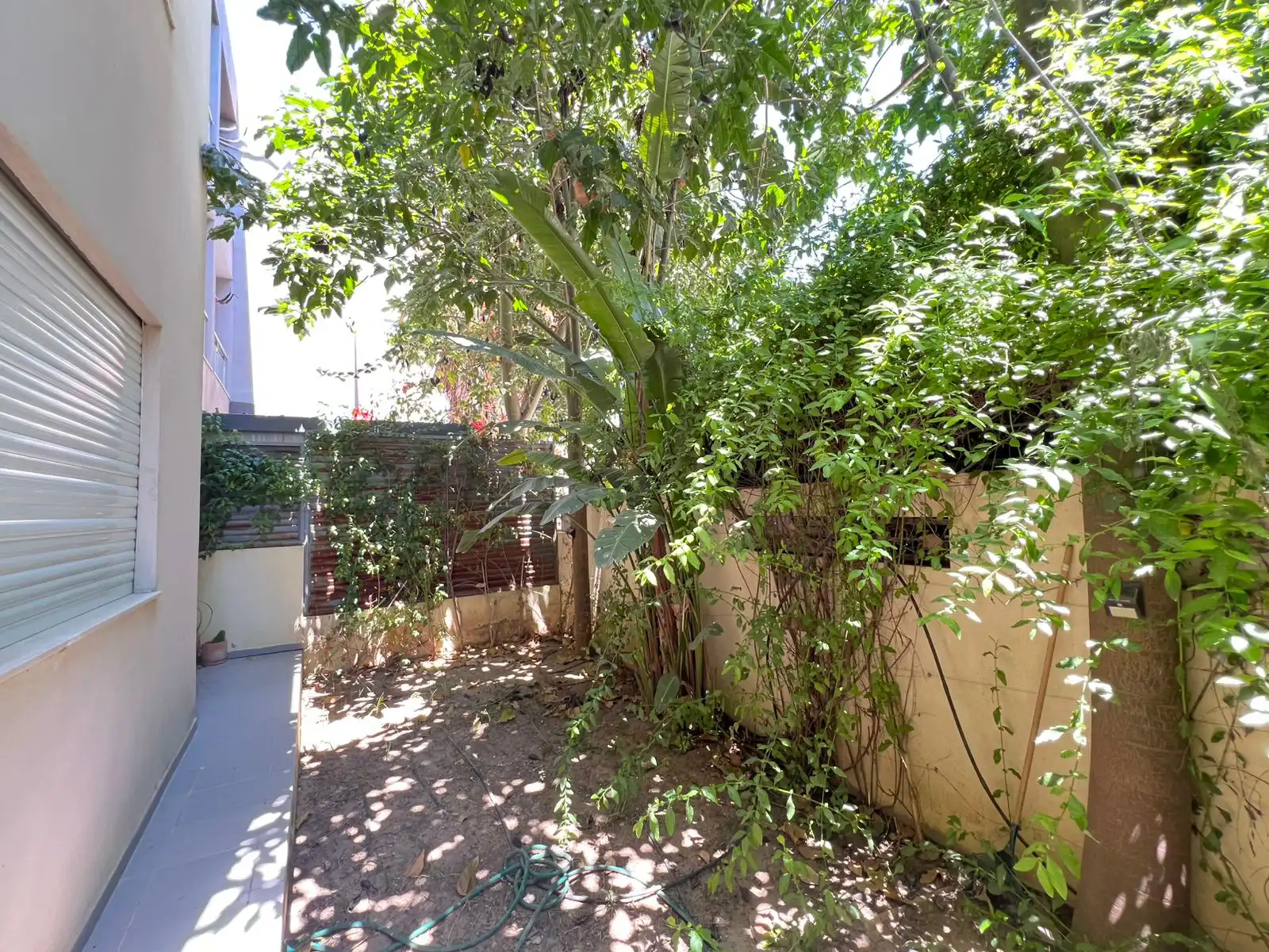 jardin