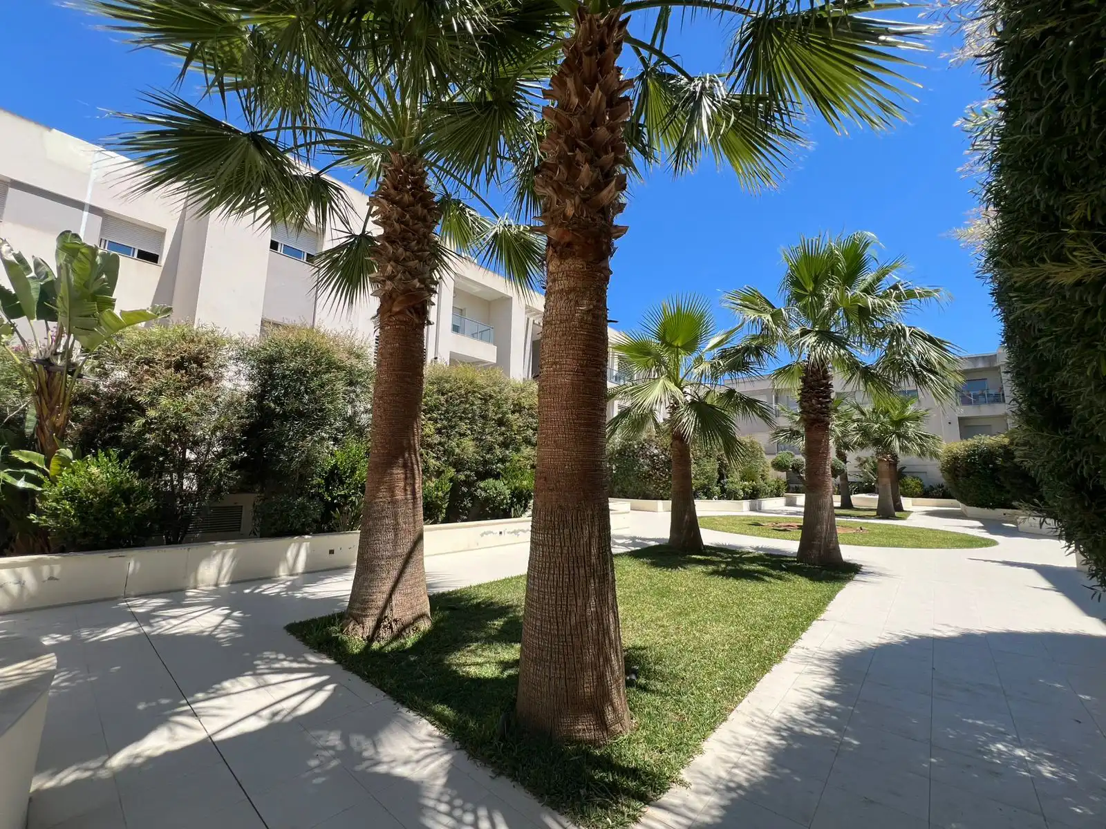 patio-1