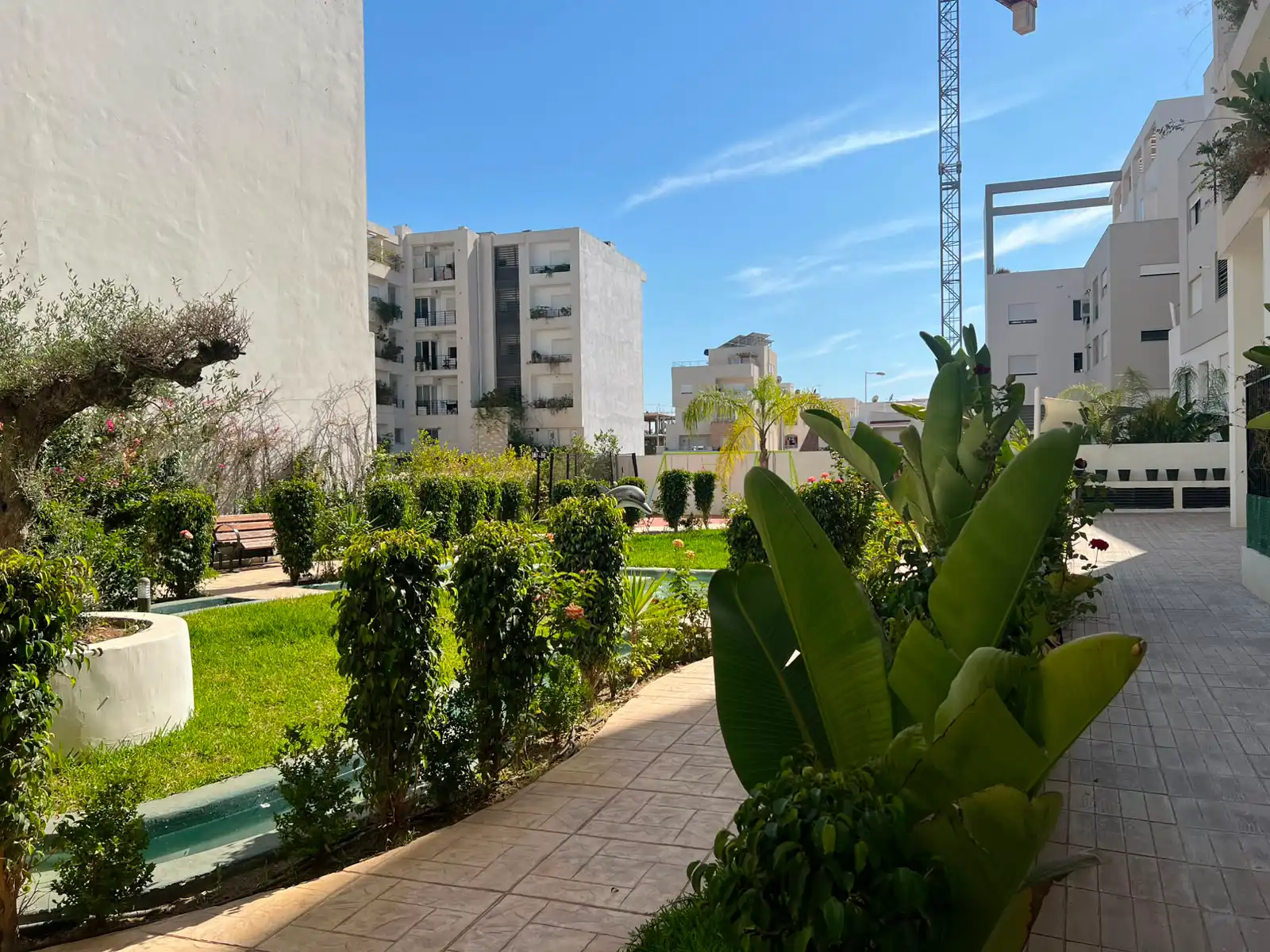 patio
